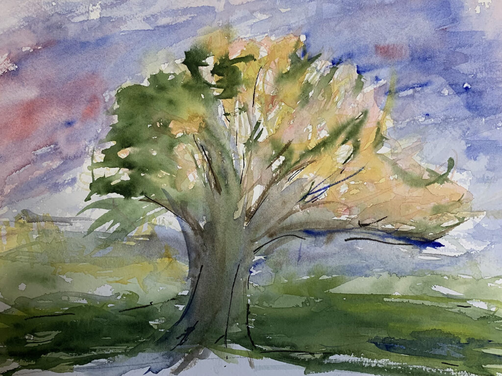 Sarah Fabian  |  Scroggy Tree  |  Watercolor